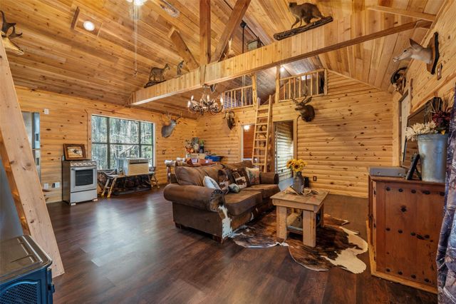 243 Silver Hickory Drive, Coldspring, TX 77331