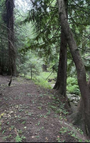 34xxx N Blanchard Creek Rd, Newport, WA 99156