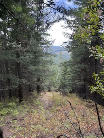 34xxx N Blanchard Creek Rd, Newport, WA 99156