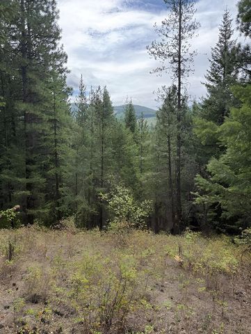 34xxx N Blanchard Creek Rd, Newport, WA 99156