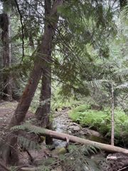 34xxx N Blanchard Creek Rd, Newport, WA 99156