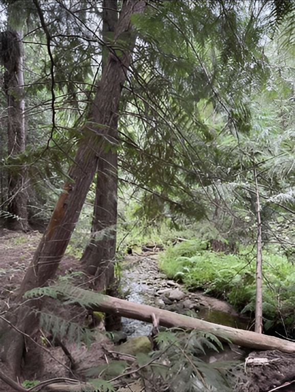 34xxx N Blanchard Creek Rd, Newport, WA 99156