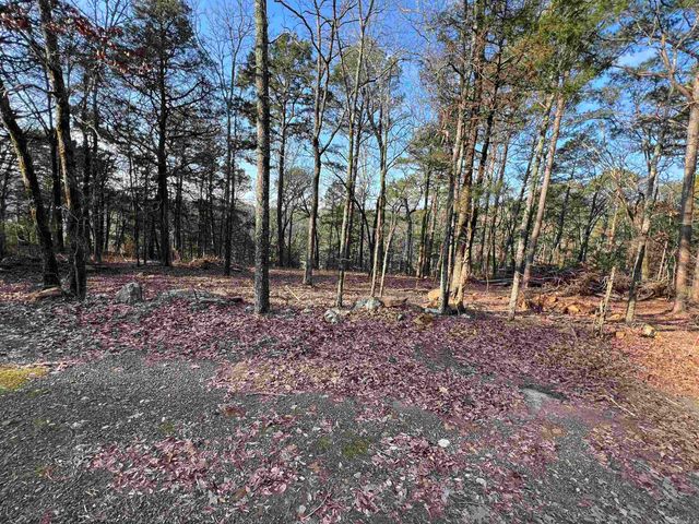 128 Lynn Creek Drive, Fairfield Bay, AR 72088