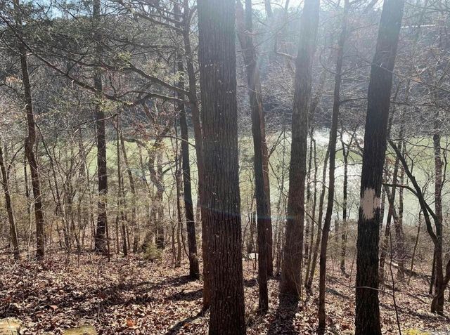 128 Lynn Creek Drive, Fairfield Bay, AR 72088
