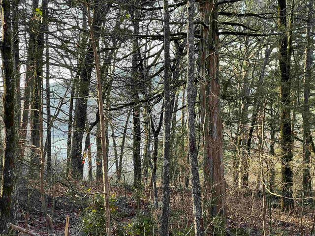 128 Lynn Creek Drive, Fairfield Bay, AR 72088