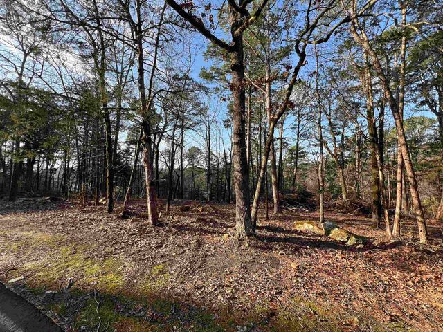 128 Lynn Creek Drive, Fairfield Bay, AR 72088