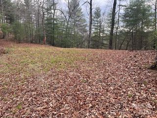 2035 Lower Tuskeegee Road, Robbinsville, NC 28771