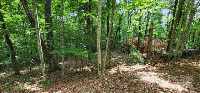 Lot 31 White Oak Mountain Road, Columbus, NC 28722