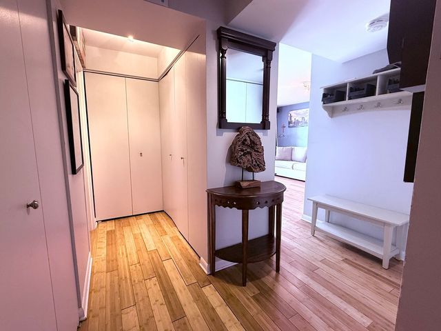 3660 N Lake Shore Drive 1309, Chicago, IL 60613