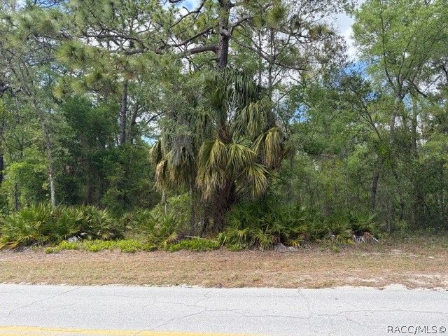3136-3234 N Holiday Drive, Crystal River, FL 34428