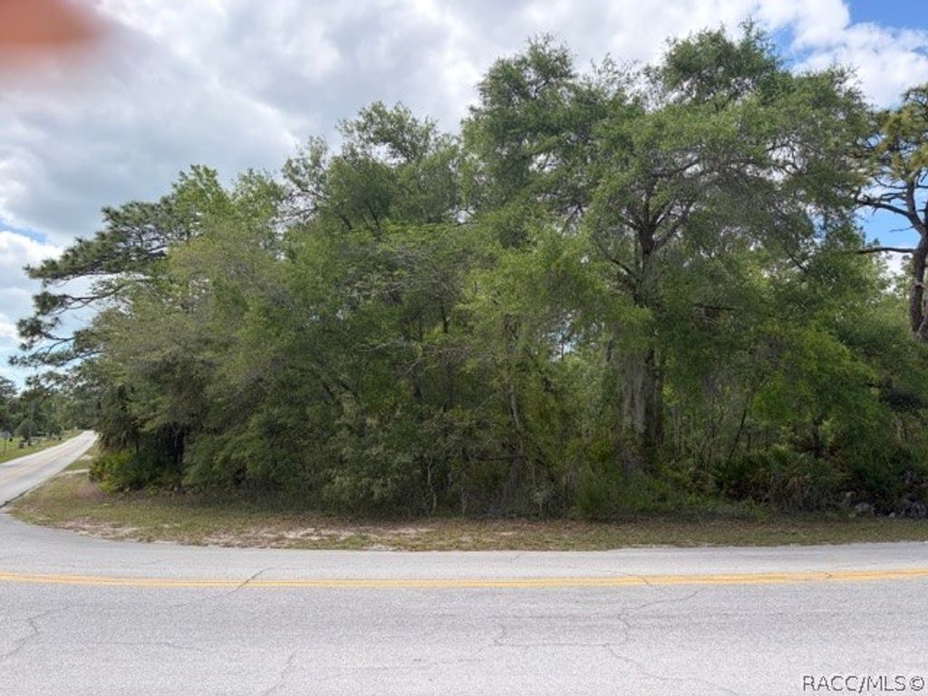 3136-3234 N Holiday Drive, Crystal River, FL 34428