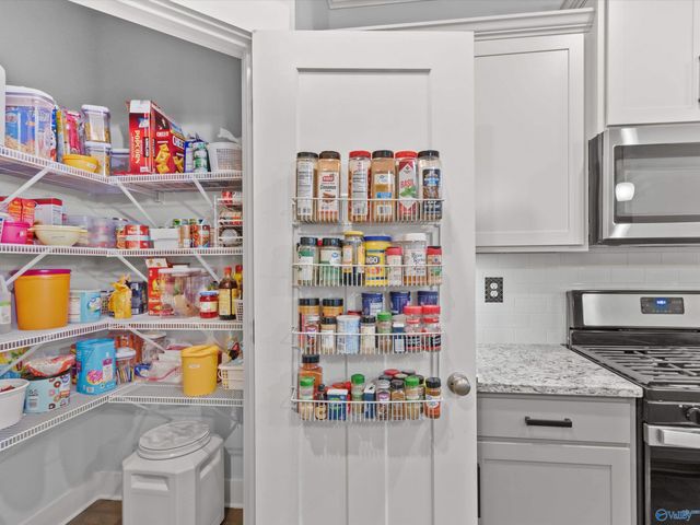 21995 Natures Cove Drive, Athens, AL 35613