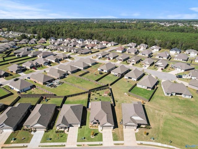 21995 Natures Cove Drive, Athens, AL 35613