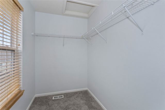 3029 SW White Birch Drive, Ankeny, IA 50023