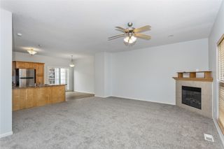 3029 SW White Birch Drive, Ankeny, IA 50023