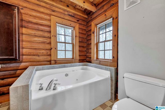 571 BRANCH LAKE DRIVE, Chelsea, AL 35051