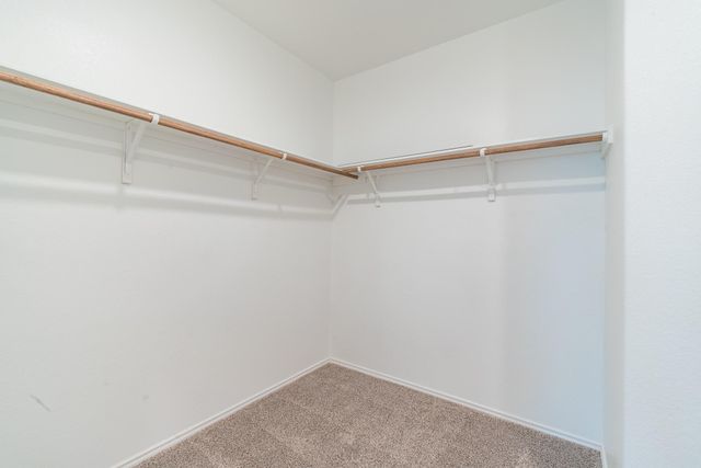 10705 Steinbeck DR, Austin, TX 78747