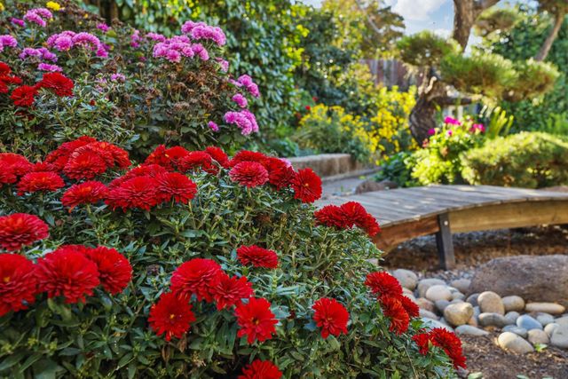 1532 Burnside Way, Stockton, CA 95207