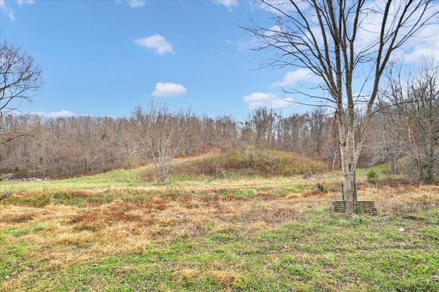 6535 Farm Road 1245, Aurora, MO 65605