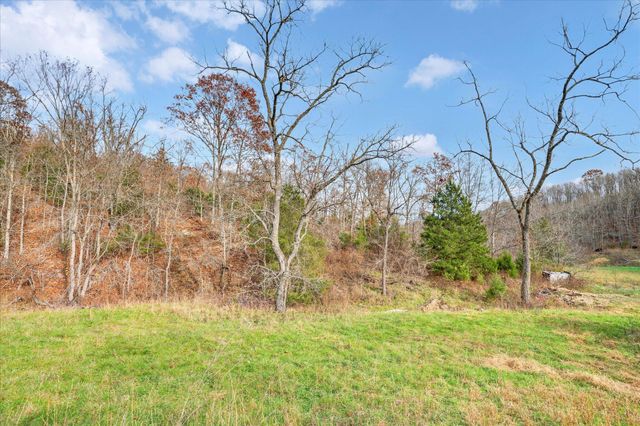 6535 Farm Road 1245, Aurora, MO 65605