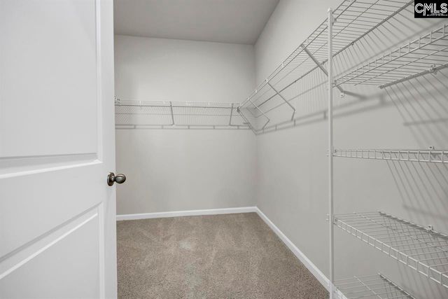 509 Leathertree Lane, Blythewood, SC 29016