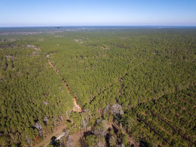 000 Forest Service Road 527, Apple Springs, TX 75926