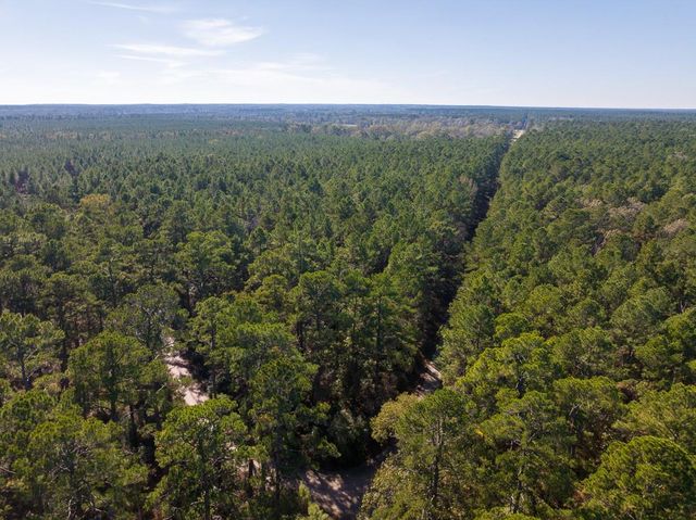 000 Forest Service Road 527, Apple Springs, TX 75926