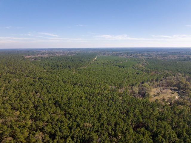 000 Forest Service Road 527, Apple Springs, TX 75926