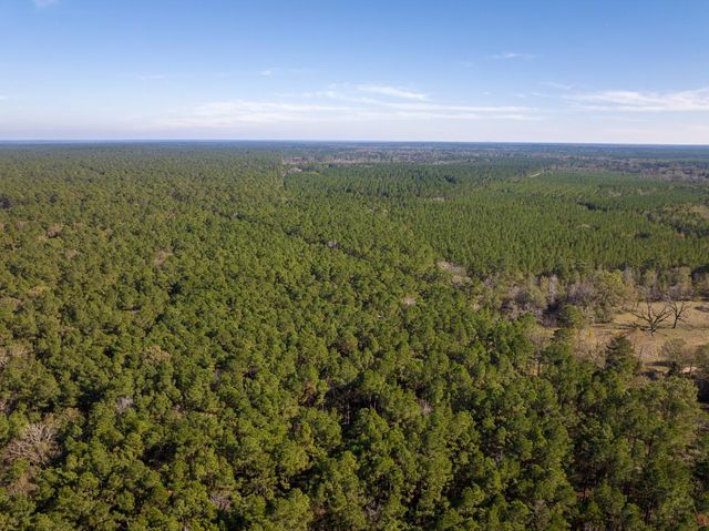 000 Forest Service Road 527, Apple Springs, TX 75926