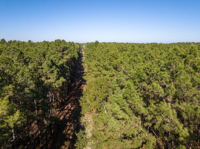 000 Forest Service Road 527, Apple Springs, TX 75926