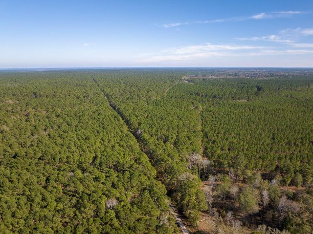 000 Forest Service Road 527, Apple Springs, TX 75926