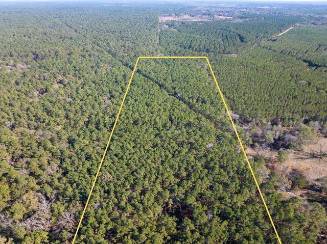 000 Forest Service Road 527, Apple Springs, TX 75926
