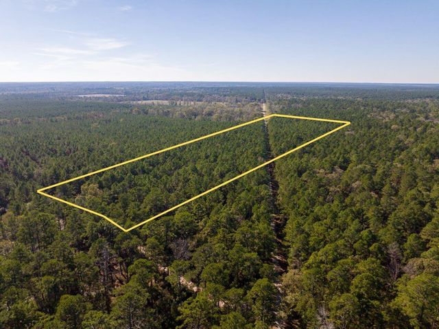 000 Forest Service Road 527, Apple Springs, TX 75926