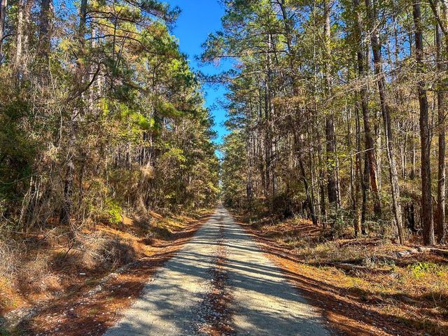 000 Forest Service Road 527, Apple Springs, TX 75926