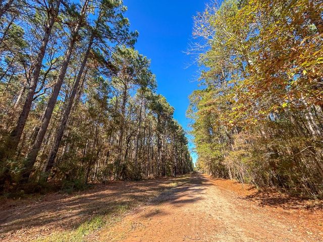 000 Forest Service Road 527, Apple Springs, TX 75926