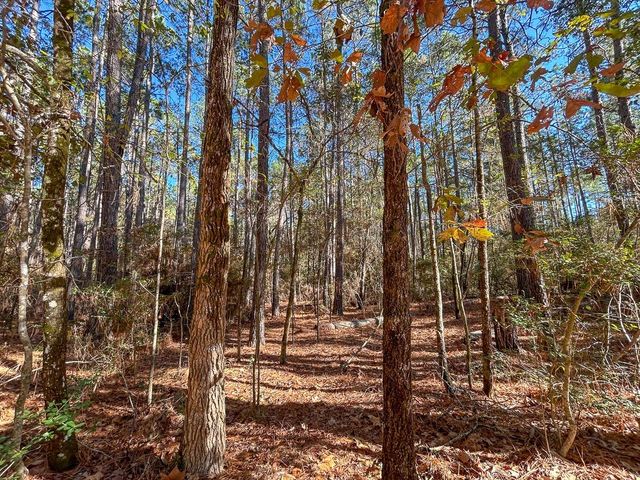 000 Forest Service Road 527, Apple Springs, TX 75926