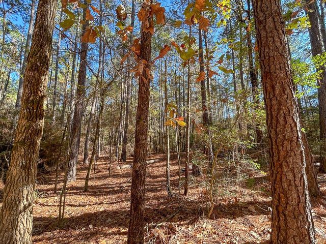 000 Forest Service Road 527, Apple Springs, TX 75926