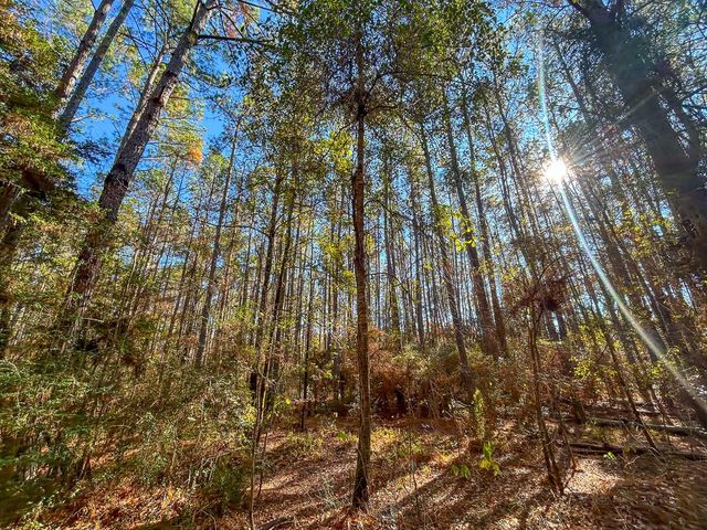 000 Forest Service Road 527, Apple Springs, TX 75926