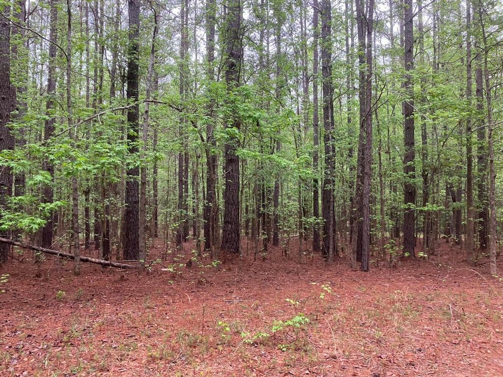 945 NEPTUNE TRAIL, Appling, GA 30802