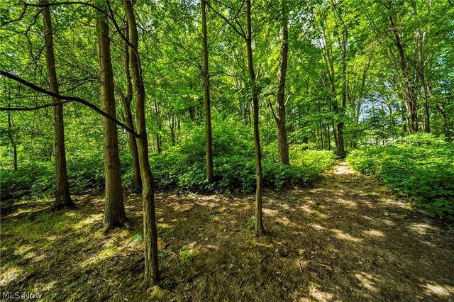 38541 Bell Road, Willoughby, OH 44094