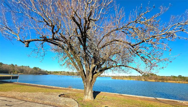 TBD Waterwood Bay Rd, Marina Acc Rd, Huntsville, TX 77320