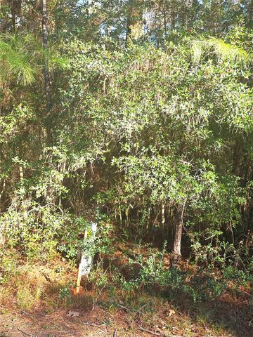 TBD Waterwood Bay Rd, Marina Acc Rd, Huntsville, TX 77320