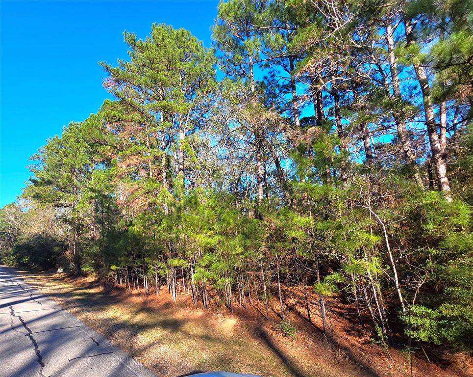 TBD Waterwood Bay Rd, Marina Acc Rd, Huntsville, TX 77320