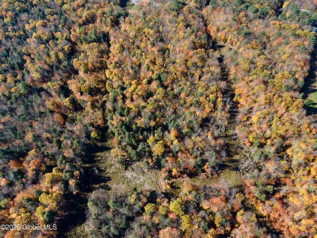 L15 East River Drive, Lake Luzerne, NY 12846