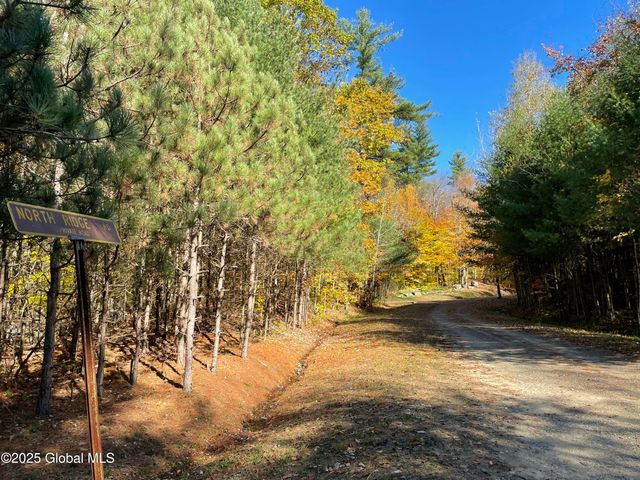 L15 East River Drive, Lake Luzerne, NY 12846