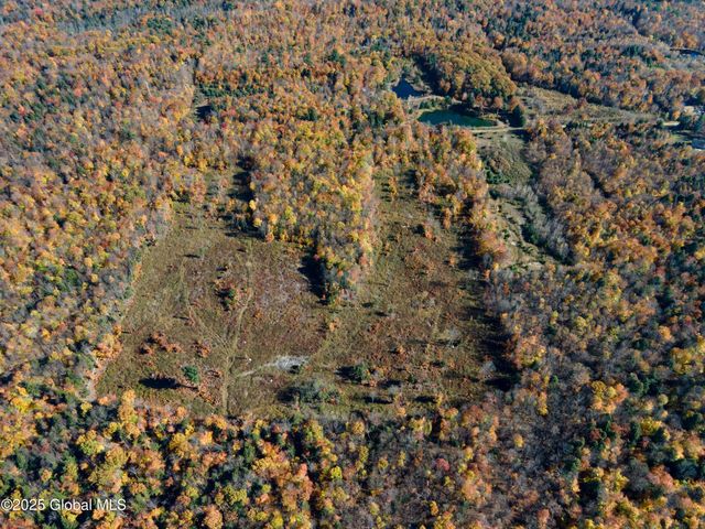 L15 East River Drive, Lake Luzerne, NY 12846