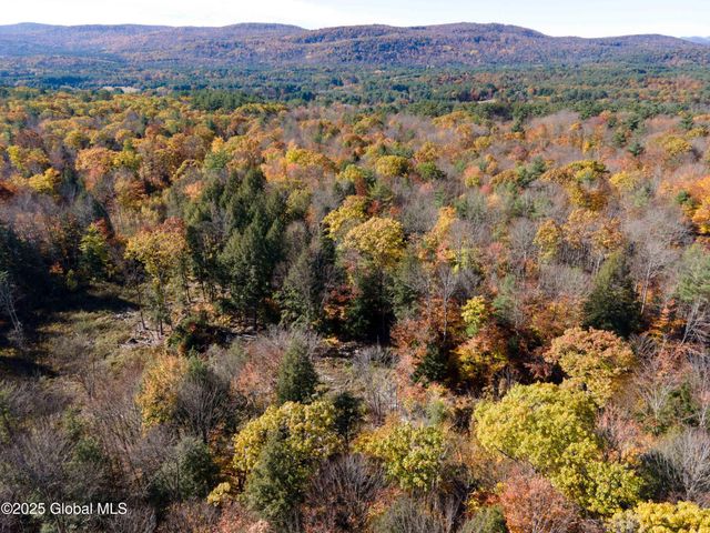 L15 East River Drive, Lake Luzerne, NY 12846