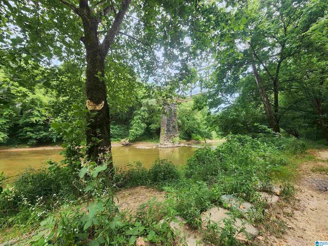 9346 WARRIOR KIMBERLY ROAD, Warrior, AL 35180