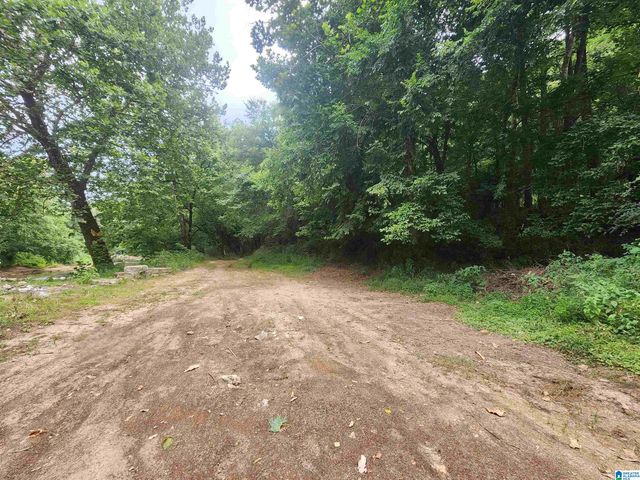 9346 WARRIOR KIMBERLY ROAD, Warrior, AL 35180