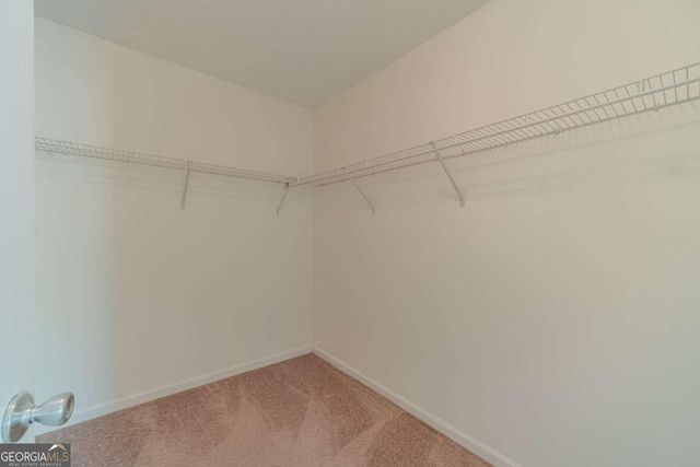 1850 Lily Stem Trail, Auburn, GA 30011